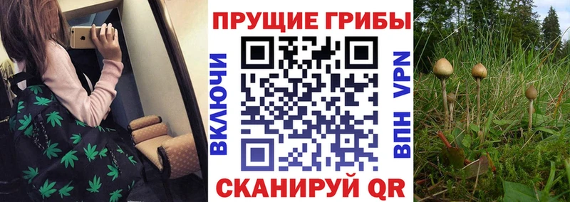 Псилоцибиновые грибы Magic Shrooms  Невель 